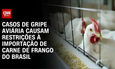 A Gripe Avi ria Est de Volta O Que Voc Precisa Saber Sobre o Caso Suspeito no RS e as Medidas para Proteger a Sa de P blica
