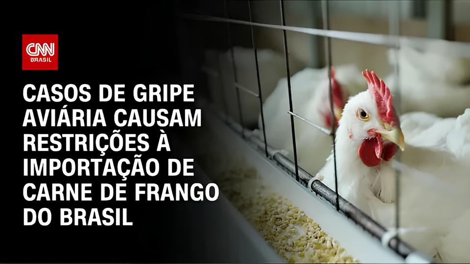 A Gripe Aviária Está de Volta: O Que Você Precisa Saber Sobre o Caso Suspeito no RS e as Medidas para Proteger a Saúde Pública 1 A Gripe Avi ria Est de Volta O Que Voc Precisa Saber Sobre o Caso Suspeito no RS e as Medidas para Proteger a Sa de P blica