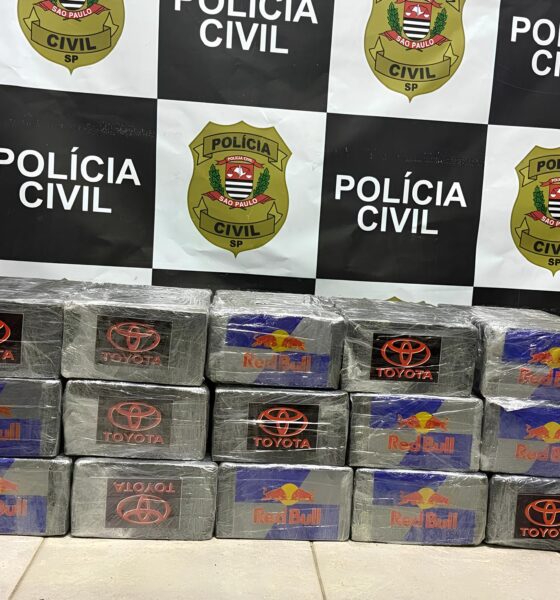 A Jornada Sombria de 241 Quilos: Como uma Operação Policial Desmascarou um Esquema Milionário de Tráfico de Drogas 2 A Jornada Sombria de 241 Quilos Como uma Opera o Policial Desmascarou um Esquema Milion rio de Tr fico de Drogas