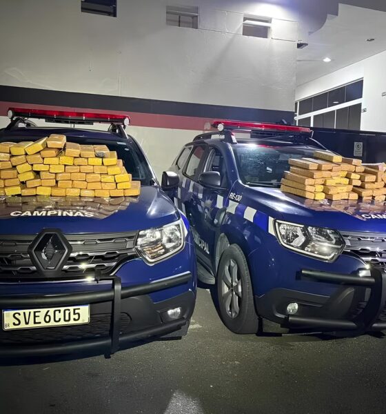 A Operação Invisível: Como a Guarda Municipal de Campinas Desmontou um Esquema Milionário de Tráfico de Drogas 2 A Opera o Invis vel Como a Guarda Municipal de Campinas Desmontou um Esquema Milion rio de Tr fico de Drogas