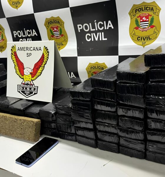 A Operação Picadão: Como 85 Kg de Maconha em uma Pousada Revelam os Bastidores do Tráfico Interestadual 2 A Opera o Picad o Como 85 Kg de Maconha em uma Pousada Revelam os Bastidores do Tr fico Interestadual