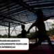 Ado o em Campinas Por Que Adolescentes S o Maioria nos Abrigos Mas N o Encontram Fam lias
