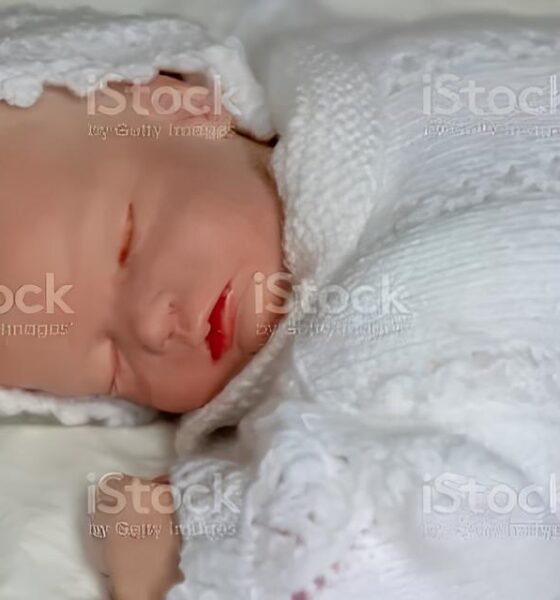 Bebês Reborn: A Nova Fronteira da Maternidade Simulada ou Um Hobby Inofensivo? 2 Beb s Reborn A Nova Fronteira da Maternidade Simulada ou Um Hobby Inofensivo