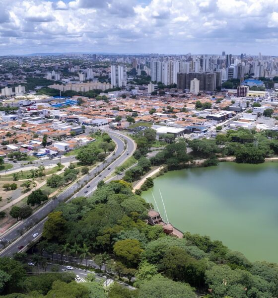 Campinas Onde Tecnologia Educa o de Excel ncia e Qualidade de Vida Se Encontram