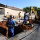 Campinas Surge como Estrela Ascendente no ndice de Progresso Social 2025 O Que Esta Cidade Tem a Ensinar ao Brasil