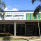 Campinas em A o Como a Cidade Est Enfrentando o Aumento das Doen as Respirat rias em Crian as