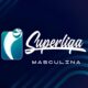 Campinas x Cruzeiro O Cl ssico Que Decidir o Futuro da Superliga Masculina de V lei 2024 2025