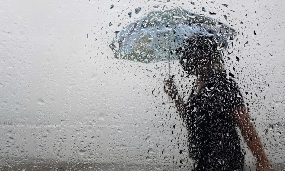 Chuva Venenosa A Sombra Invis vel dos Agrot xicos que Paira Sobre S o Paulo