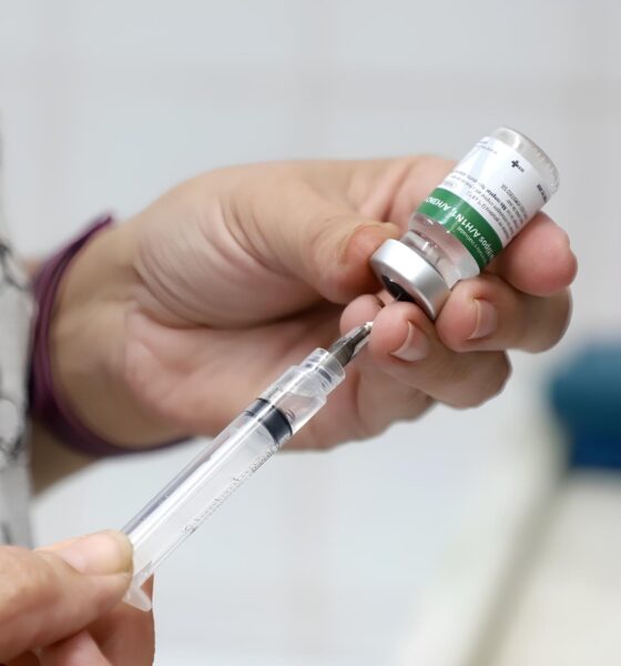 Como Campinas Está Redefinindo a Luta Contra a Gripe: Um Raio-X da Estratégia que Pode Salvar Milhares de Vidas 2 Como Campinas Est Redefinindo a Luta Contra a Gripe Um Raio X da Estrat gia que Pode Salvar Milhares de Vidas