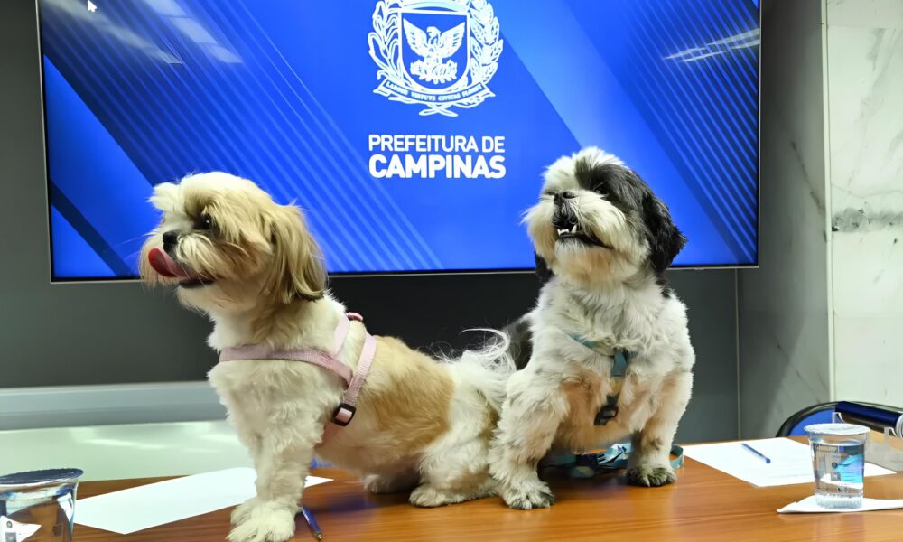 Como Campinas Est Revolucionando o Conceito de Espa os P blicos com Parc es Adotados por Empresas