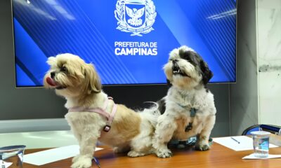 Como Campinas Est Revolucionando o Conceito de Espa os P blicos com Parc es Adotados por Empresas