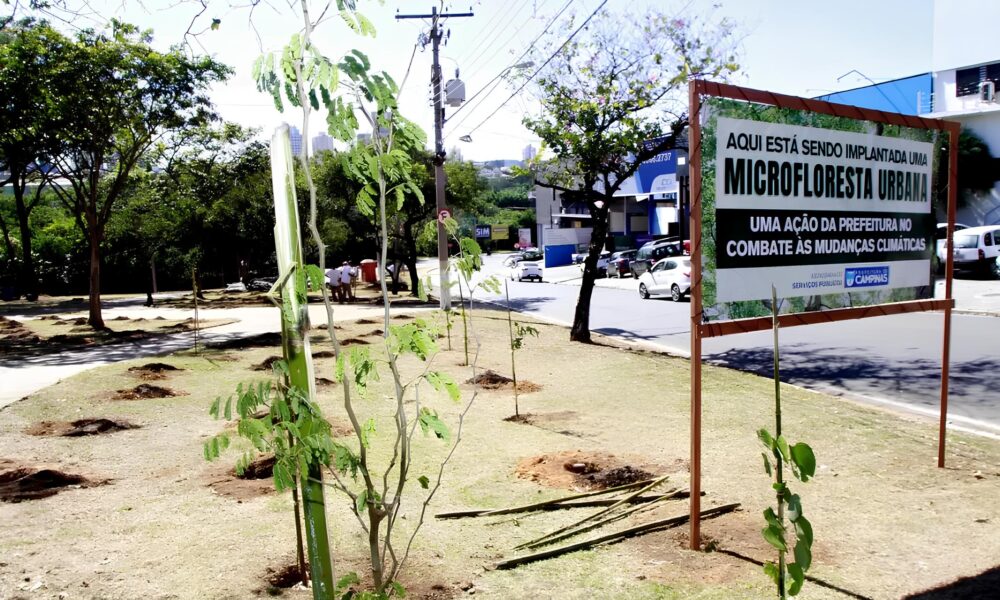 Como Campinas Est Revolucionando o Futuro Urbano com Microflorestas