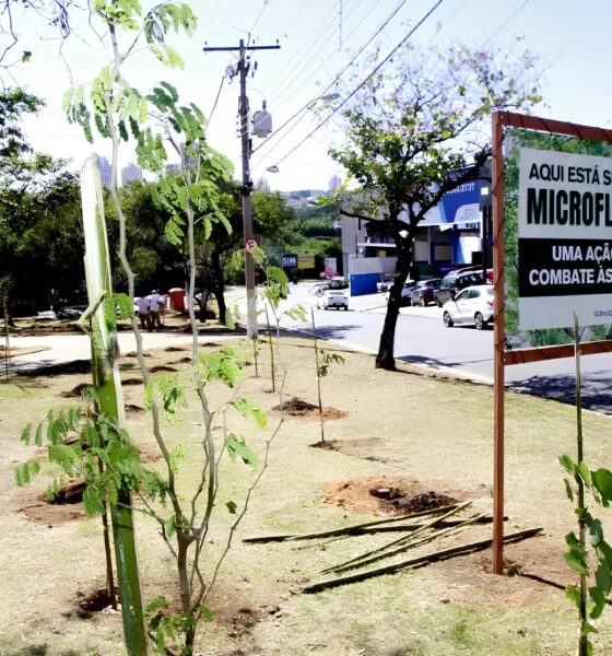 Como Campinas Está Revolucionando o Futuro Urbano com Microflorestas 2 Como Campinas Est Revolucionando o Futuro Urbano com Microflorestas