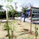 Como Campinas Est Revolucionando o Futuro Urbano com Microflorestas