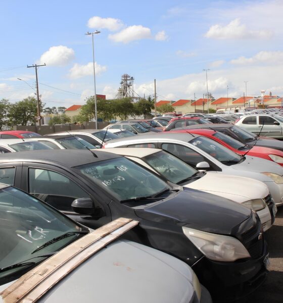 Como Campinas Transformou os Finais de Semana em um Al vio para Motoristas A Nova Lei da Isen o de Taxas do P tio Municipal