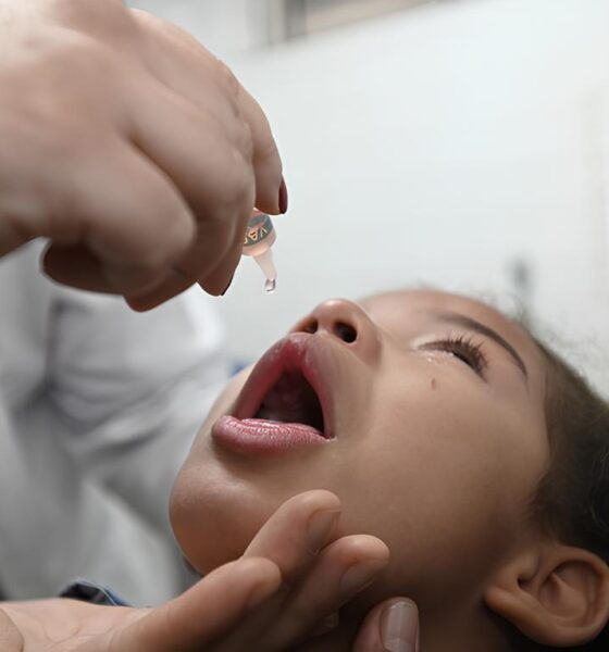 Como Hortolândia Está Revolucionando a Saúde Infantil nas Escolas: Um Raio-X da Campanha de Vacinação Inovadora 2 Como Hortol ndia Est Revolucionando a Sa de Infantil nas Escolas Um Raio X da Campanha de Vacina o Inovadora
