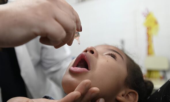 Como Hortol ndia Est Revolucionando a Sa de Infantil nas Escolas Um Raio X da Campanha de Vacina o Inovadora