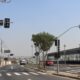 Como Radares Salvam Vidas na Avenida John Boyd Dunlop O Caso das Travessias de Pedestres em Campinas