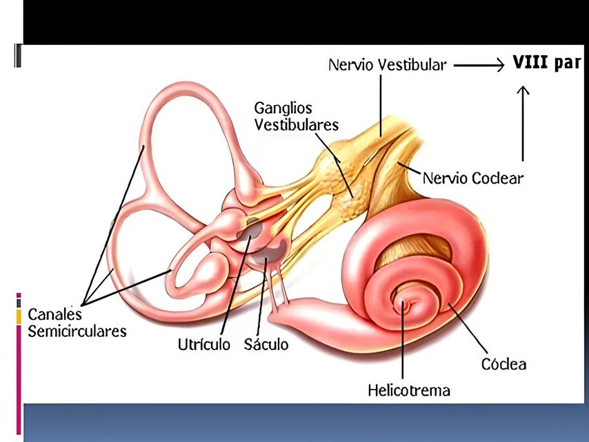 Como Transformar Seis Meses em Um Futuro Brilhante: O Guia Definitivo para Conquistar o Vestibular Sem Perder a Saúde Mental 1 Como Transformar Seis Meses em Um Futuro Brilhante O Guia Definitivo para Conquistar o Vestibular Sem Perder a Sa de Mental