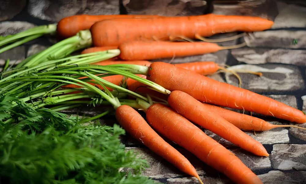 Como a Queda dos Pre os de Cenoura Alface e Tomate Est Redefinindo o Mercado Brasileiro em 2025
