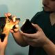 Como o Consult rio Veterin rio M vel Est Transformando a Sa de Animal em Campinas Um Raio X da Iniciativa Que J Conquistou Cora es