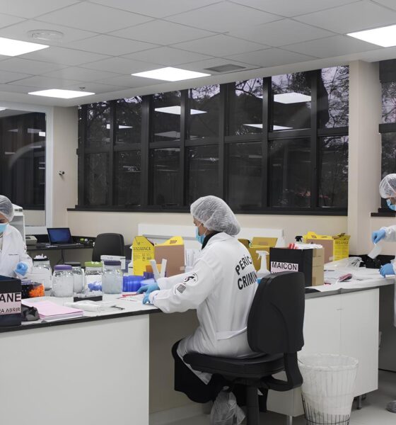 DNA Revela Verdade Oculta Como um Crime Arquivado em 2018 Resurge Gra as Ci ncia e Justi a