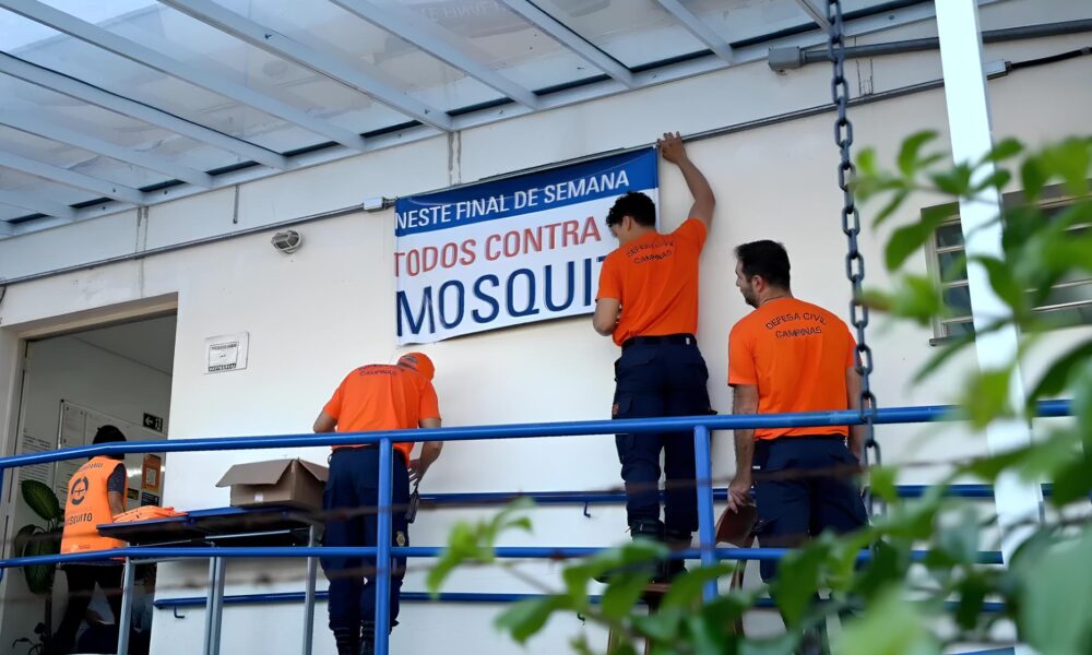 Dengue em Foco Como Campinas Est Combatendo o Aedes aegypti e Salvando Vidas