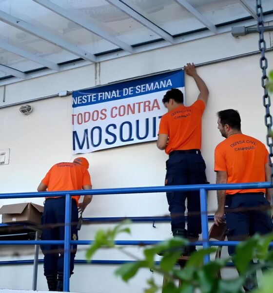 Dengue em Foco: Como Campinas Está Combatendo o Aedes aegypti e Salvando Vidas 2 Dengue em Foco Como Campinas Est Combatendo o Aedes aegypti e Salvando Vidas