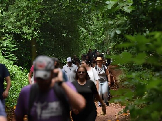 Descubra a Semeia 2025: Um Convite à Natureza, Tecnologia e Consciência Ambiental 2 Descubra a Semeia 2025 Um Convite Natureza Tecnologia e Consci ncia Ambiental
