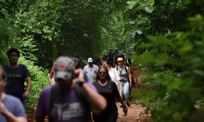 Descubra a Semeia 2025: Um Convite à Natureza, Tecnologia e Consciência Ambiental 1 Descubra a Semeia 2025 Um Convite Natureza Tecnologia e Consci ncia Ambiental