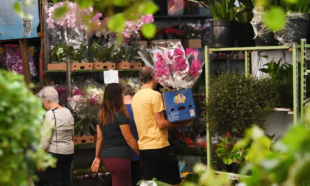 Dia das M es O Segredo por Tr s do Boom de Vendas no Mercado de Flores da Ceasa Campinas