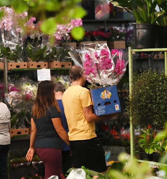 Dia das Mães: O Segredo por Trás do Boom de Vendas no Mercado de Flores da Ceasa Campinas 2 Dia das M es O Segredo por Tr s do Boom de Vendas no Mercado de Flores da Ceasa Campinas