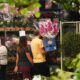 Dia das M es O Segredo por Tr s do Boom de Vendas no Mercado de Flores da Ceasa Campinas