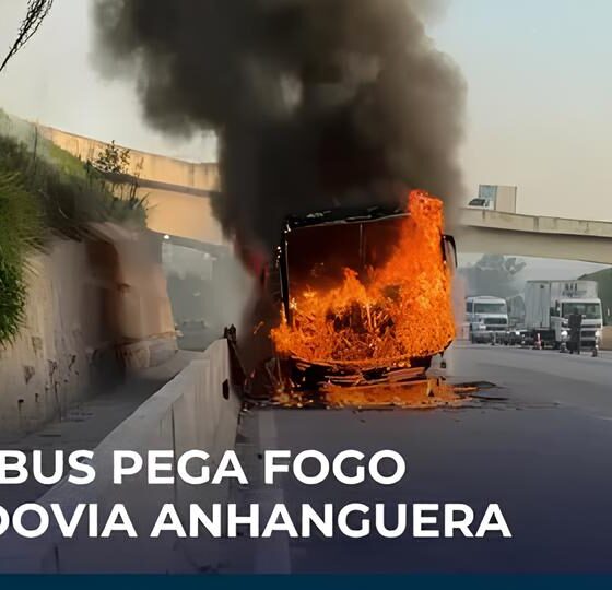 Fogo na Marginal da Anhanguera: O Dia em que Um Poste Quase Apagou Campinas 2 Fogo na Marginal da Anhanguera O Dia em que Um Poste Quase Apagou Campinas