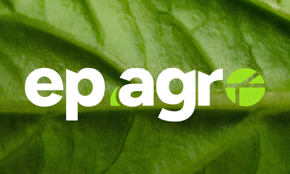 Gripe Avi ria O Perigo Silencioso que Amea a a Sa de Global e o Mercado Agropecu rio
