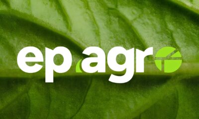 Gripe Avi ria O Perigo Silencioso que Amea a a Sa de Global e o Mercado Agropecu rio