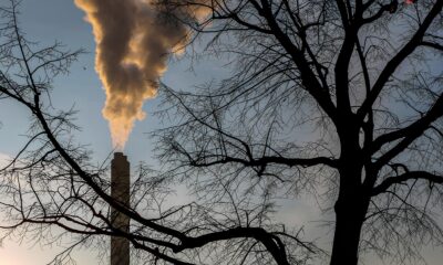 Hidrog nio Verde Como o Brasil Pode Revolucionar o Futuro da Energia Global
