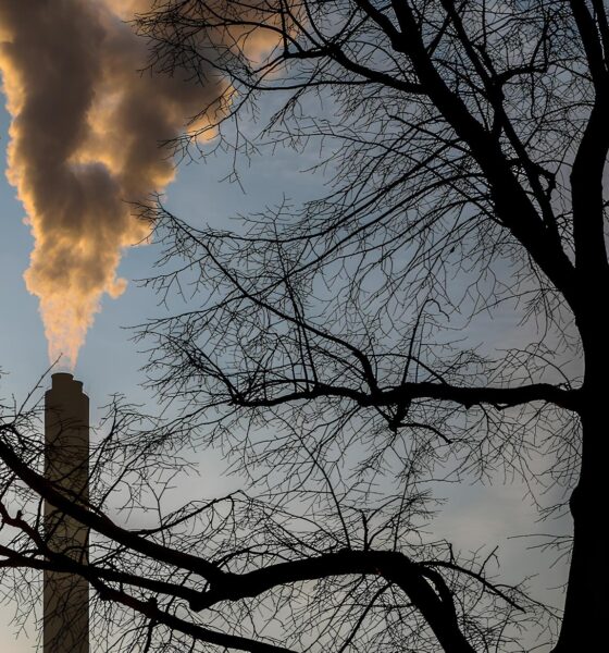 Hidrogênio Verde: Como o Brasil Pode Revolucionar o Futuro da Energia Global 2 Hidrog nio Verde Como o Brasil Pode Revolucionar o Futuro da Energia Global