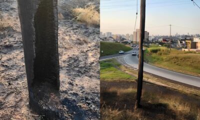 Inc ndio na Anhanguera O Dia em que o Fogo Parou Campinas