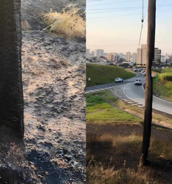 Incêndio na Anhanguera: O Dia em que o Fogo Parou Campinas 2 Inc ndio na Anhanguera O Dia em que o Fogo Parou Campinas