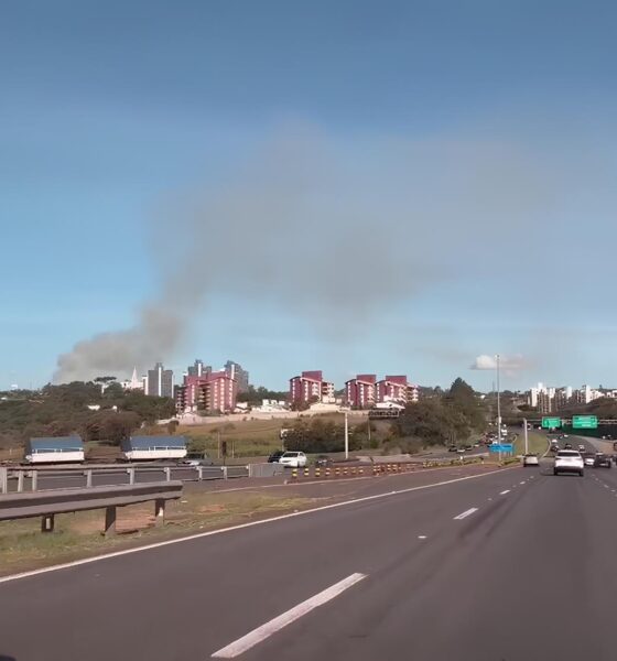 Incêndios em Campinas: A Batalha Contra o Fogo que Consumiu a Mata e Testou a Resiliência da Cidade 2 Inc ndios em Campinas A Batalha Contra o Fogo que Consumiu a Mata e Testou a Resili ncia da Cidade