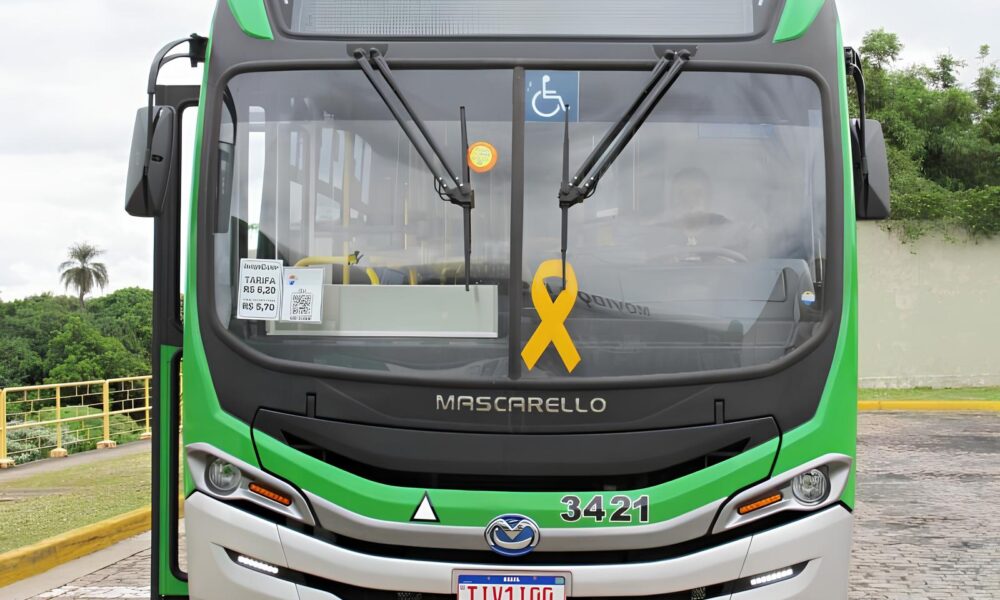 La os Amarelos nas Ruas de Campinas Como um Simples S mbolo Est Transformando o Tr nsito em Um Movimento Pela Vida