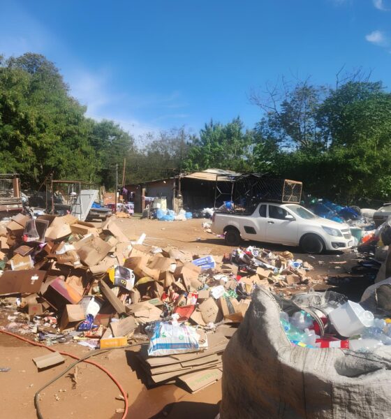 O Caso do Depósito Clandestino em Campinas: Quando o Progresso Encontra a Natureza e Sai Perdendo 2 O Caso do Dep sito Clandestino em Campinas Quando o Progresso Encontra a Natureza e Sai Perdendo