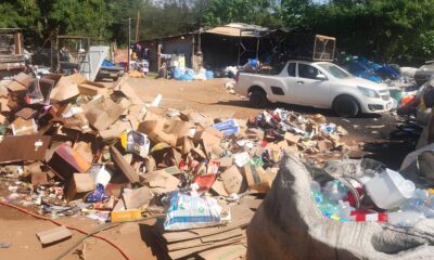 O Caso do Lixo Clandestino em Campinas Como a Gan ncia Colocou um Ecossistema em Risco