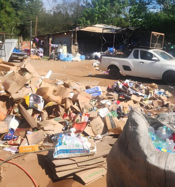 O Caso do Lixo Clandestino em Campinas: Como a Ganância Colocou um Ecossistema em Risco 2 O Caso do Lixo Clandestino em Campinas Como a Gan ncia Colocou um Ecossistema em Risco