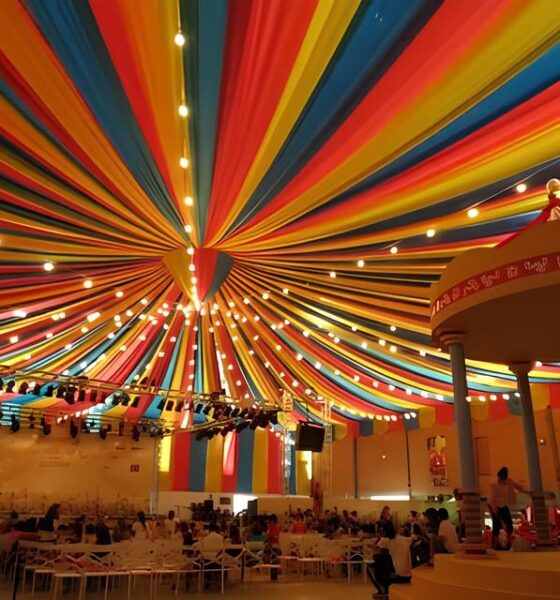 O Circo nas Escolas: Como a Magia das Artes Circenses Está Revolucionando o Ensino no Brasil 2 O Circo nas Escolas Como a Magia das Artes Circenses Est Revolucionando o Ensino no Brasil