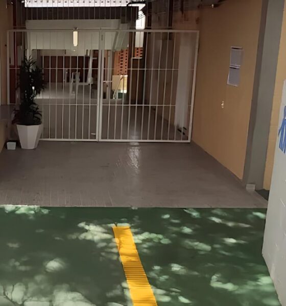 O Dia C da Convivência: Como Uma Escola em Campinas Está Redefinindo a Relação Entre Famílias e Redes Sociais 2 O Dia C da Conviv ncia Como Uma Escola em Campinas Est Redefinindo a Rela o Entre Fam lias e Redes Sociais