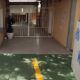 O Dia C da Conviv ncia Como Uma Escola em Campinas Est Redefinindo a Rela o Entre Fam lias e Redes Sociais