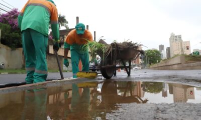 O Dia do Gari em Campinas Celebrando os Her is An nimos da Limpeza Urbana