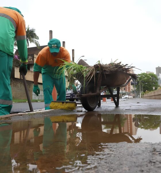 O Dia do Gari em Campinas: Celebrando os Heróis Anônimos da Limpeza Urbana 2 O Dia do Gari em Campinas Celebrando os Her is An nimos da Limpeza Urbana